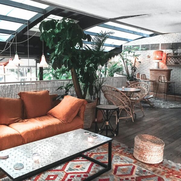 pexels-vince-2227855